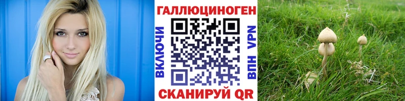 Псилоцибиновые грибы прущие грибы  Купить закладки  Лахденпохья 